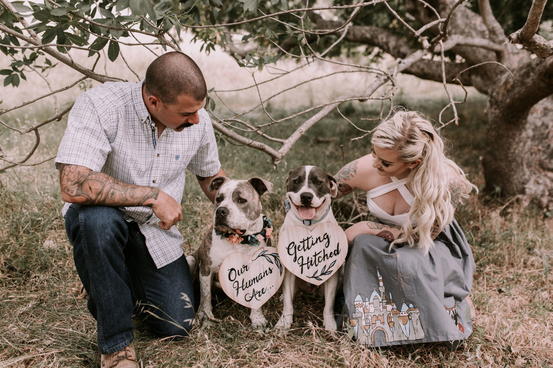 Pic of the Litter: Layla Lynn & Odin Herbert